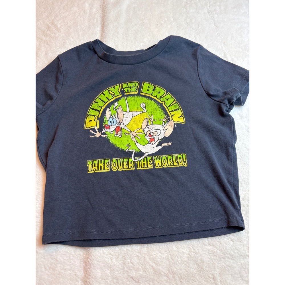 Pinky and the Brain Graphic TShirt Gray 90s Cartoon Animaniacs Warner Bros Small